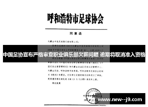 中国足协宣布严格审查职业俱乐部欠薪问题 逾期将取消准入资格